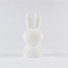 Mini Miffy Lamba - BL01 - 8720165221172