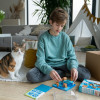 Cats & Boxes - SG000450 -