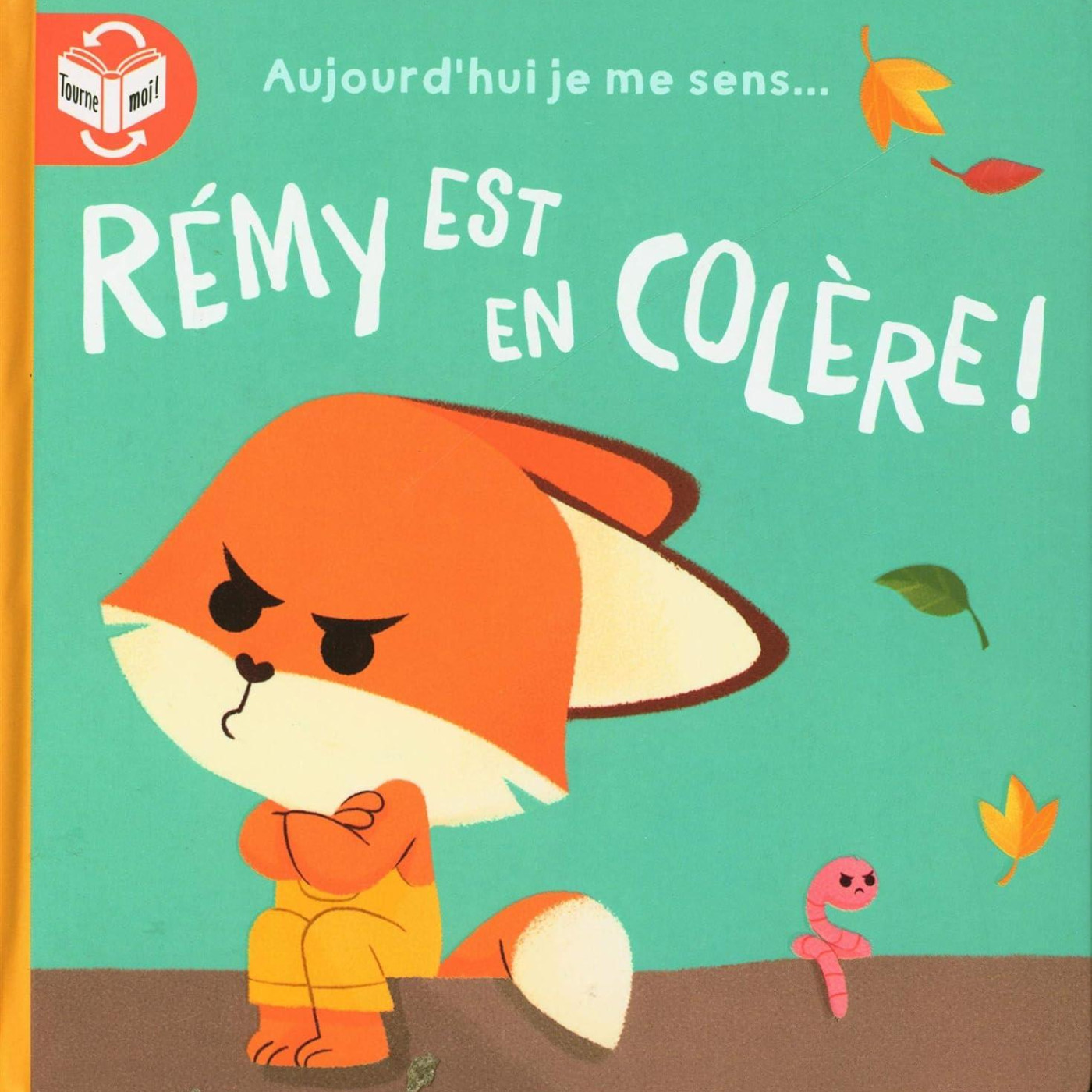 Aujourdhui je me sens...: Rémy est en colére - gentil - 9789463991513 - 9789463991513