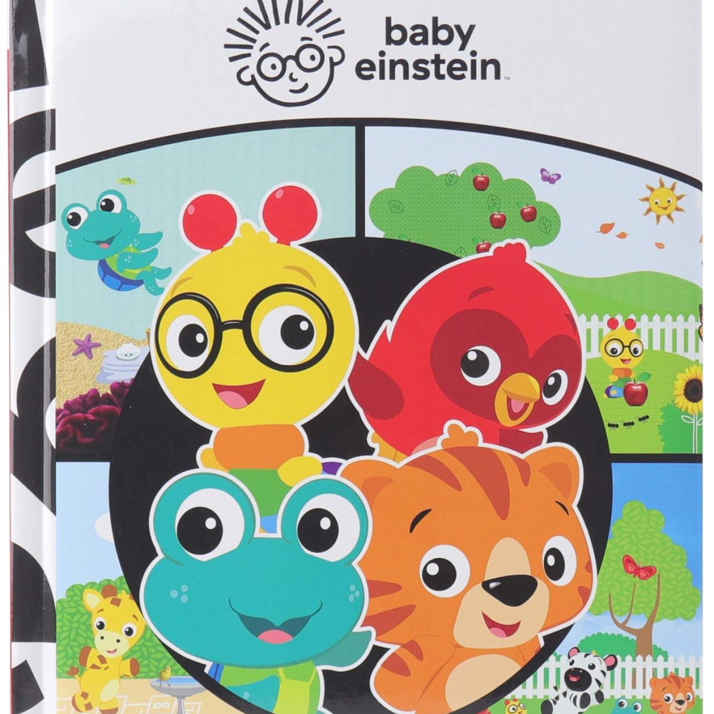 Baby Einstein: First Look and Find - KTP00276 - 9781503754690