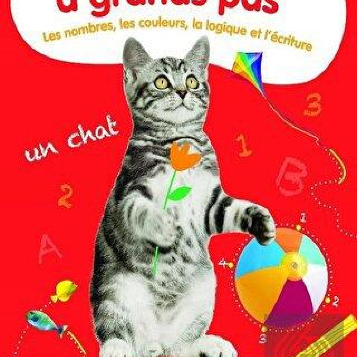 J`apprends A Grands Pas: Les nombres, les couleurs, la logique et lécriture - 9789464542196 - 9789464542196