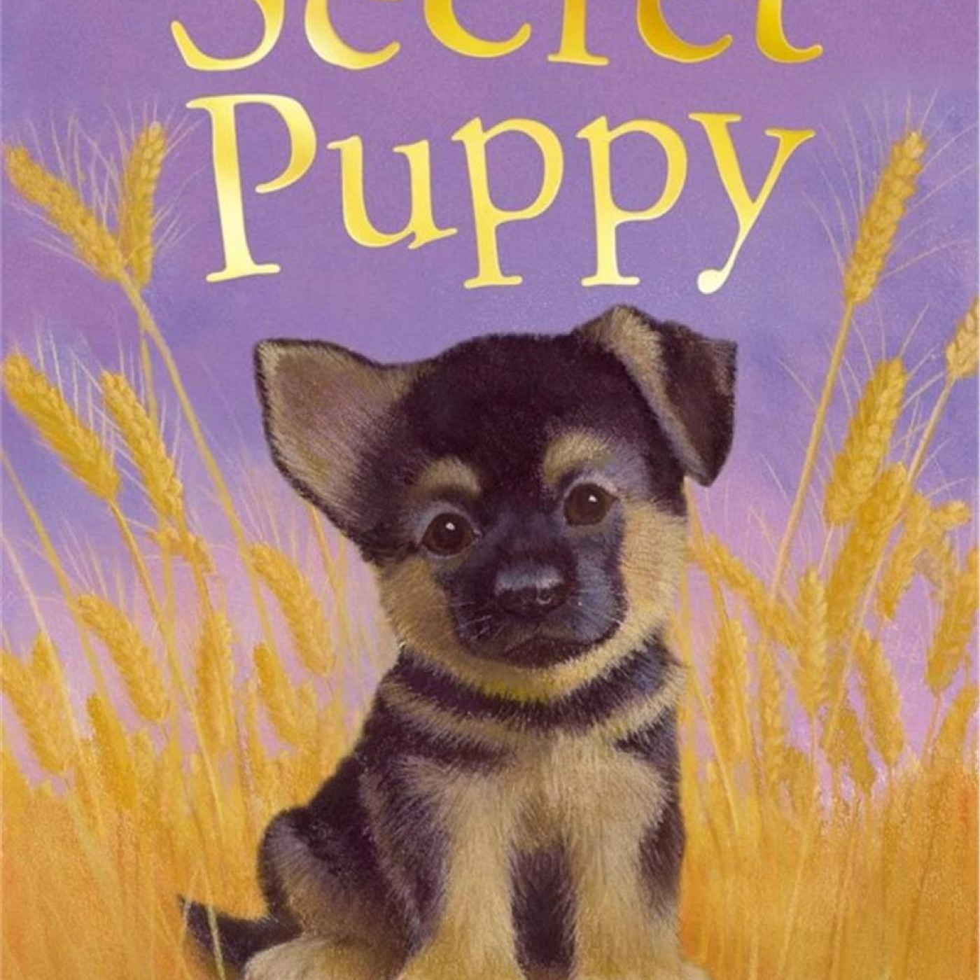 Holly Webb Animal Stories: The Secret Puppy - KTP00065 - 9781847152336