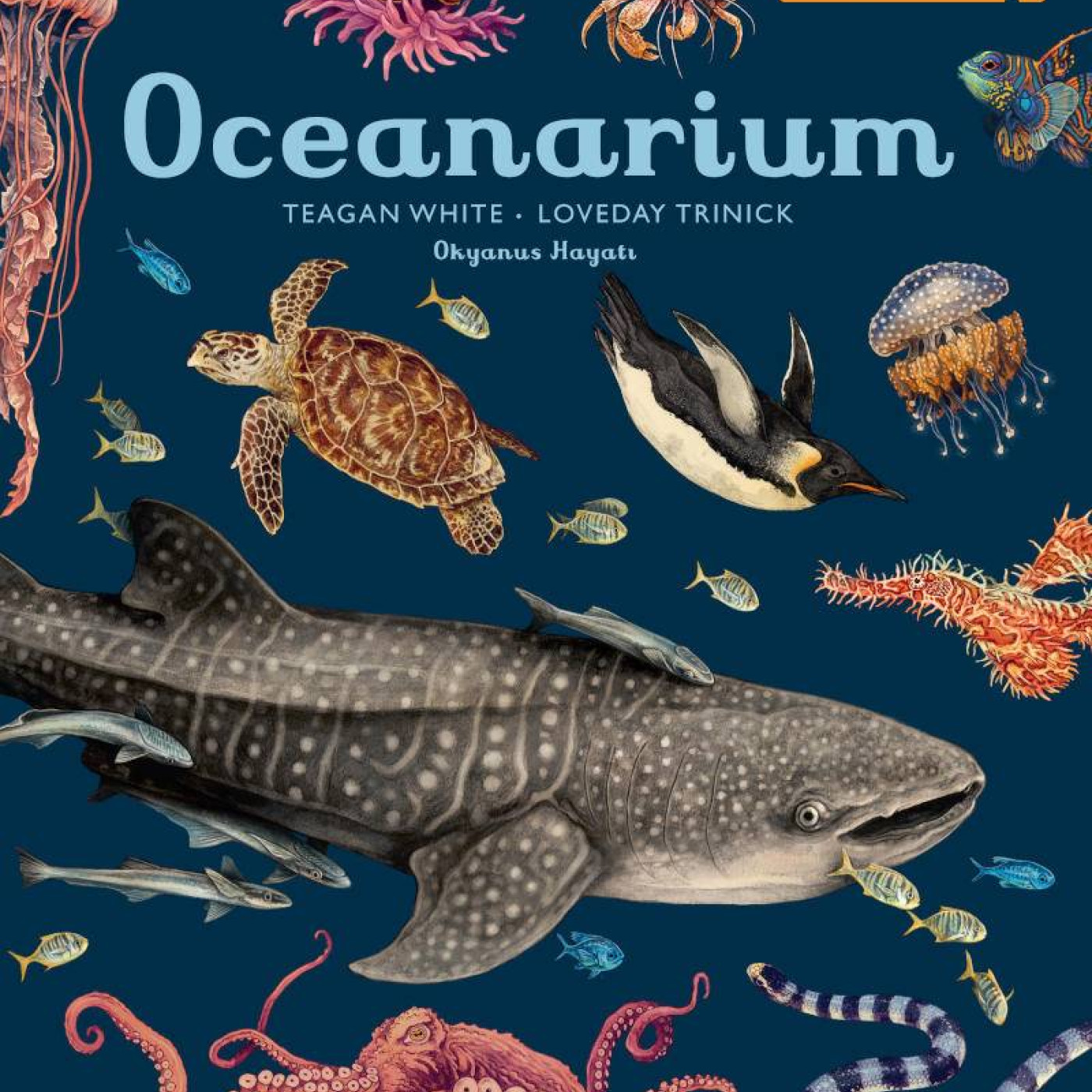 Oceanarium - KTP00333 - 9786057347107