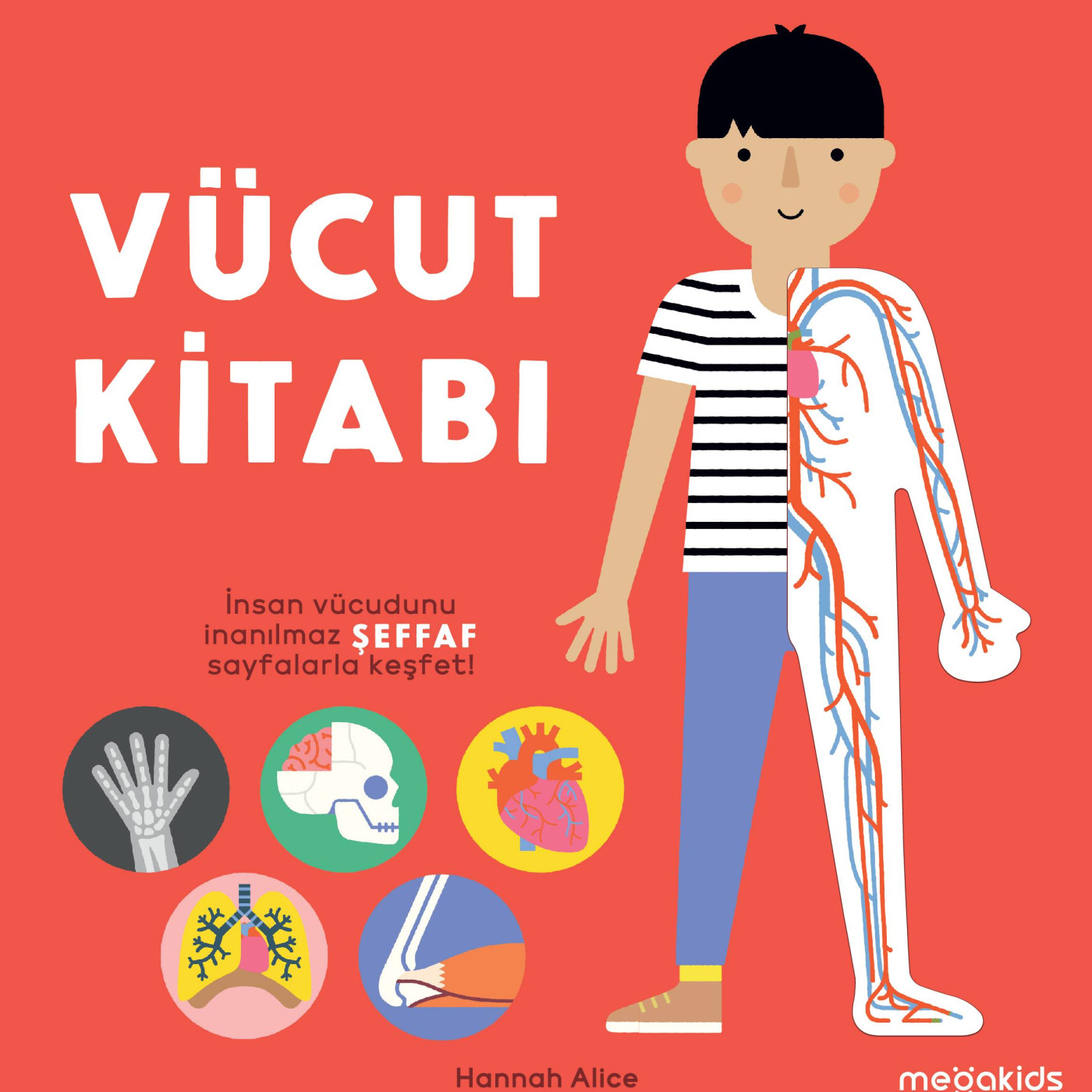 Vücut Kitabı - 9786057265210 - 9786057265210